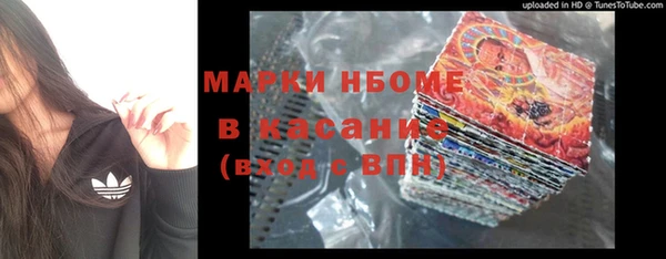 хмурый Алексин