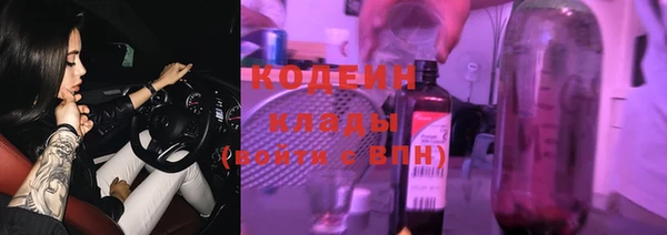 хмурый Алексин