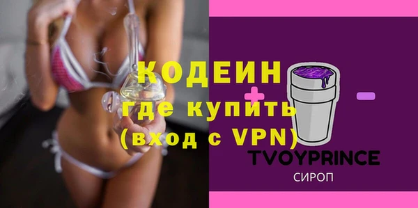 хмурый Алексин