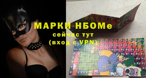 хмурый Алексин