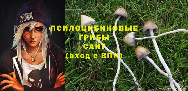 не бодяженный Абаза