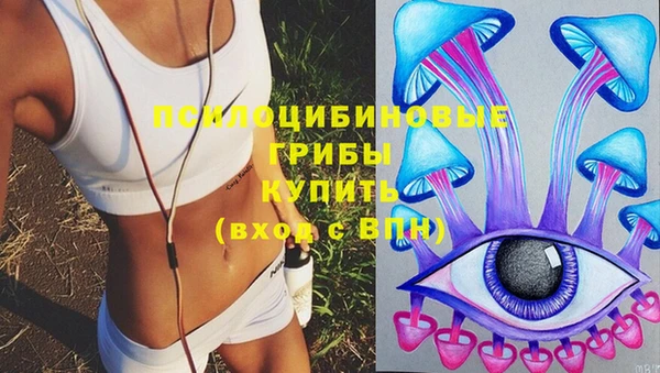 не бодяженный Абаза