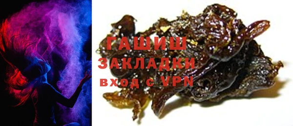 хмурый Алексин