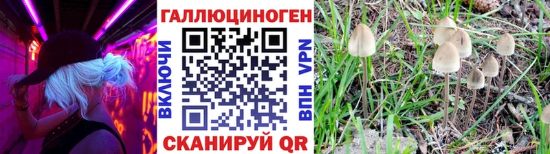 Галлюциногенные грибы Cubensis  купить  сайты  Петров Вал 